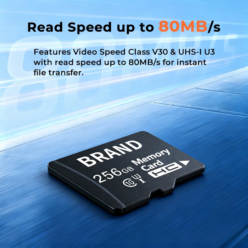 Class 10 Micro SD card
