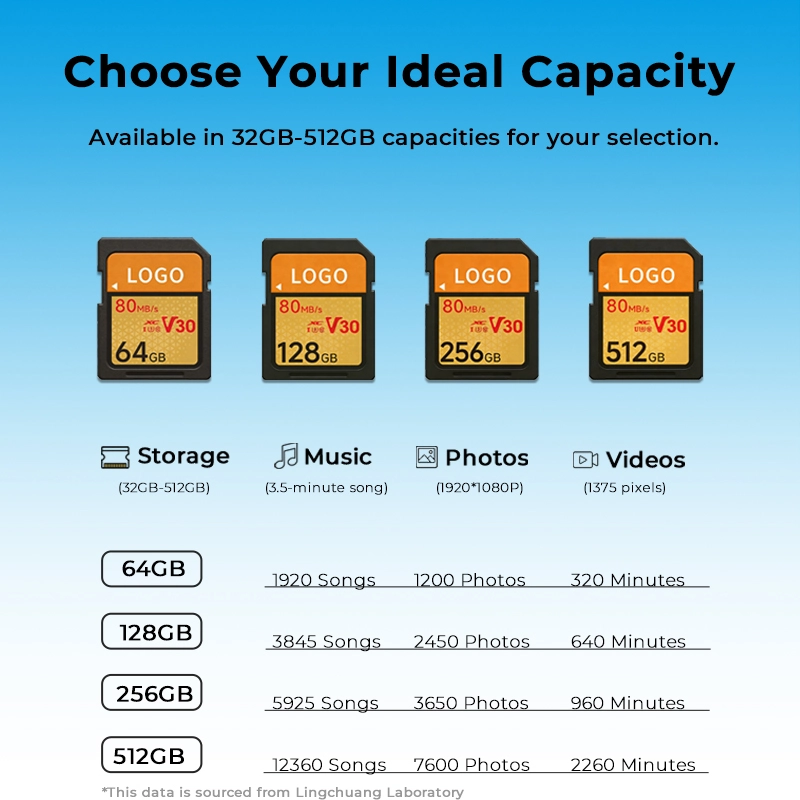 professional SD memory card