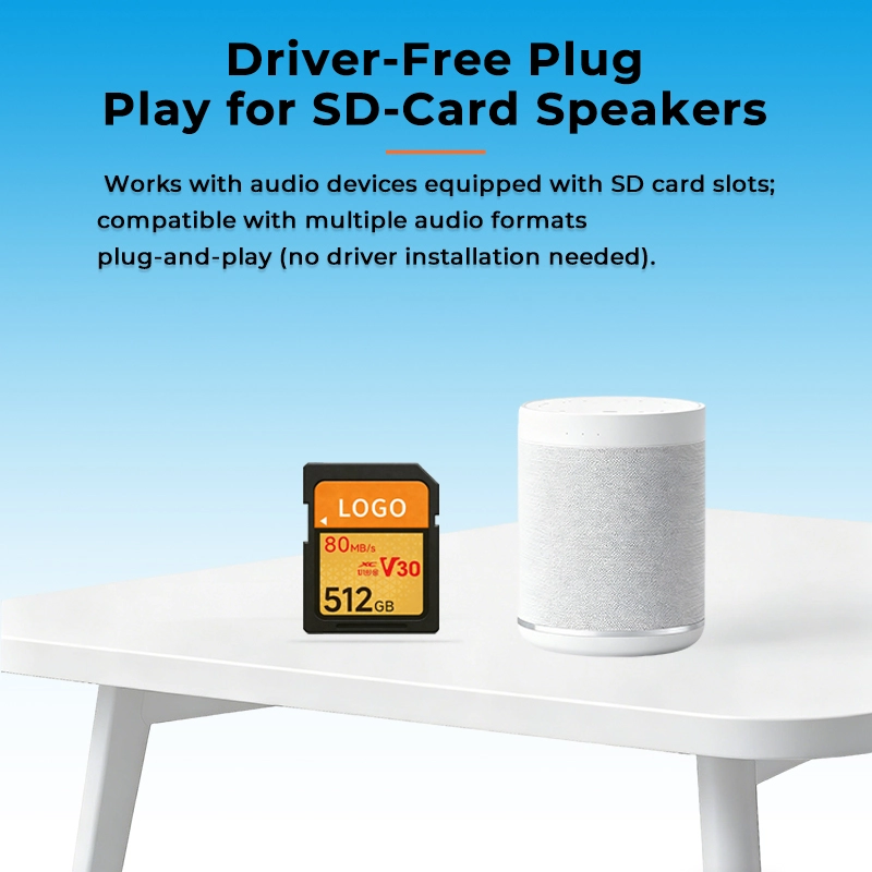 OEM SD card manufacturer